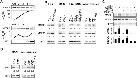 Figure 6