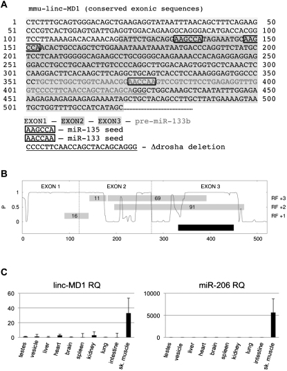 Figure S1