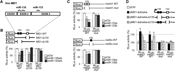 Figure 5