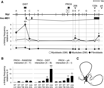 Figure 3