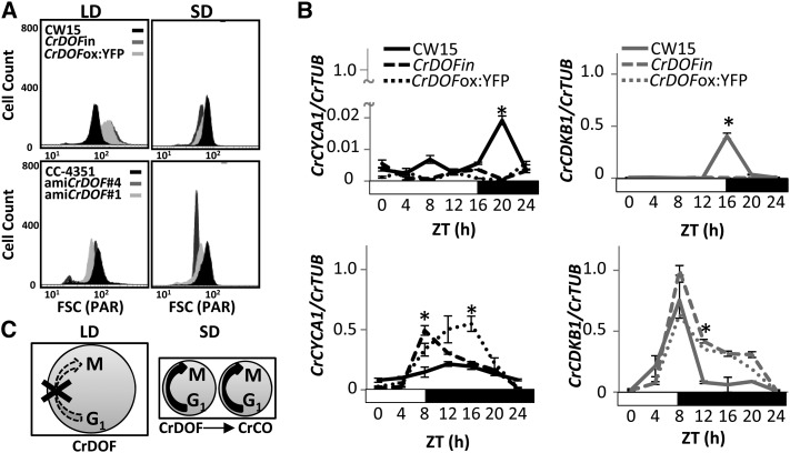 Figure 5.