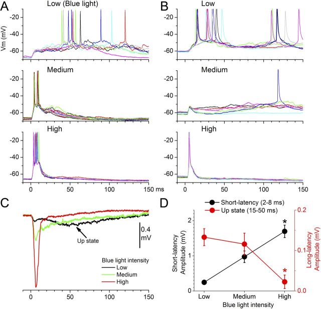 Figure 4.