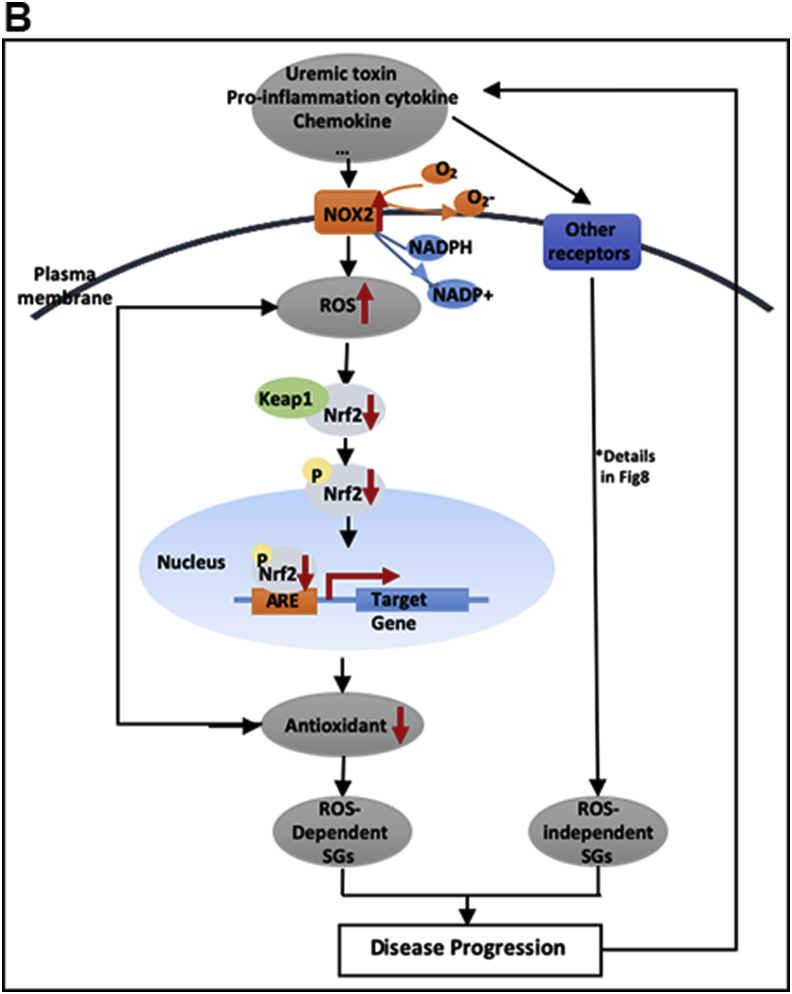 Fig. 7b