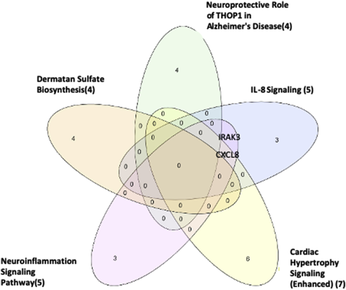 Fig. 2c