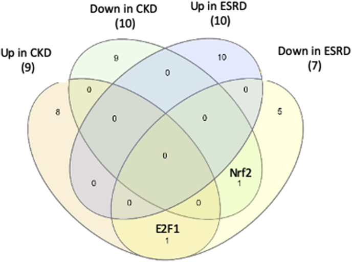 Fig. 2f