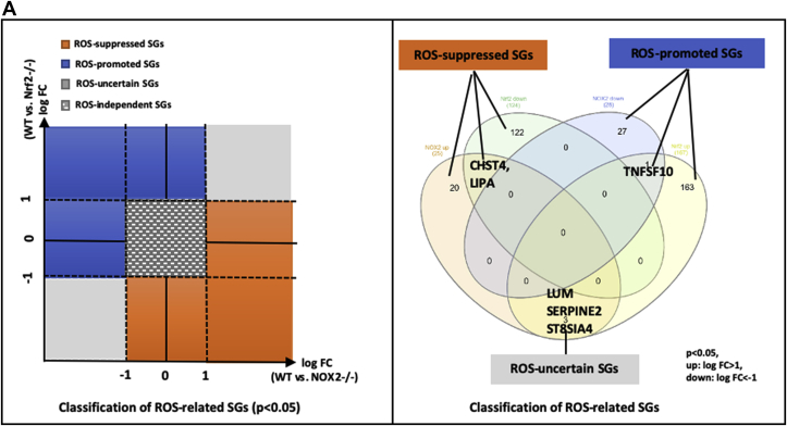 Fig. 7a