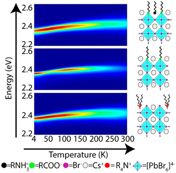 graphic file with name jz0c00266_0006.jpg