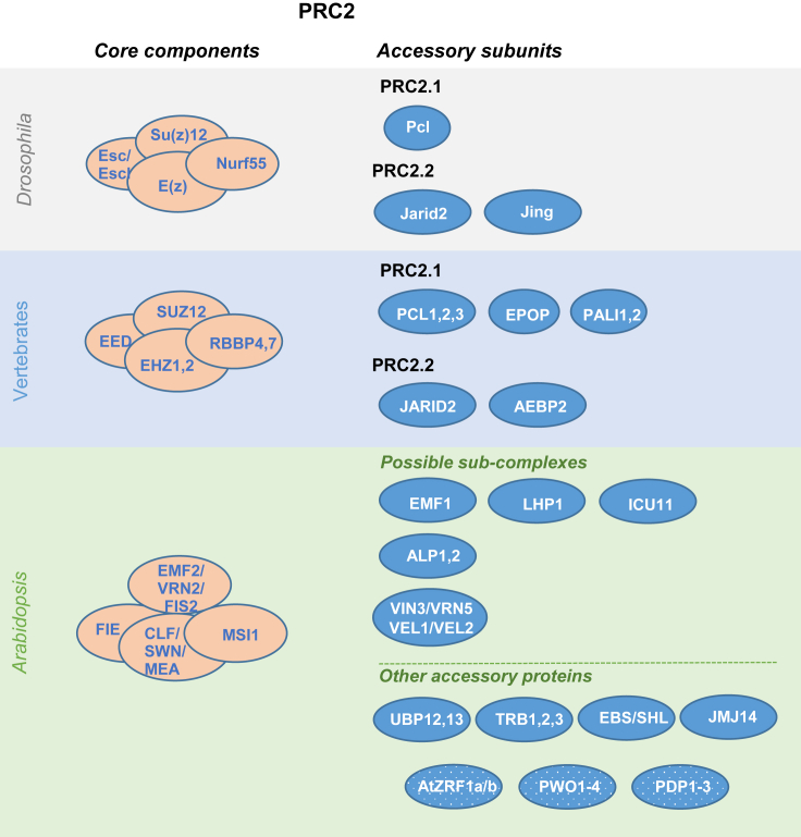 Figure 2