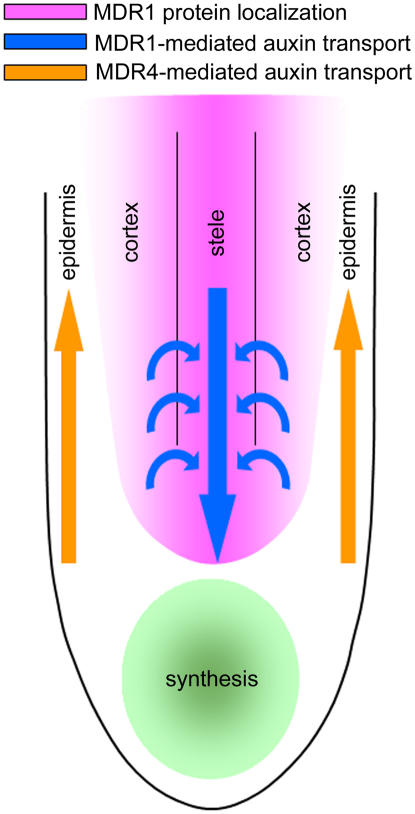 Figure 9.