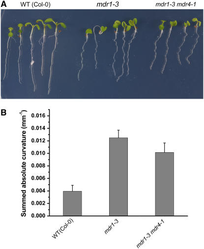 Figure 6.