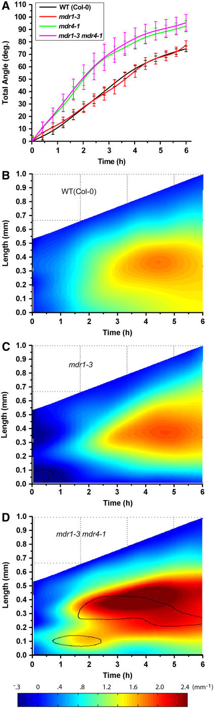 Figure 7.