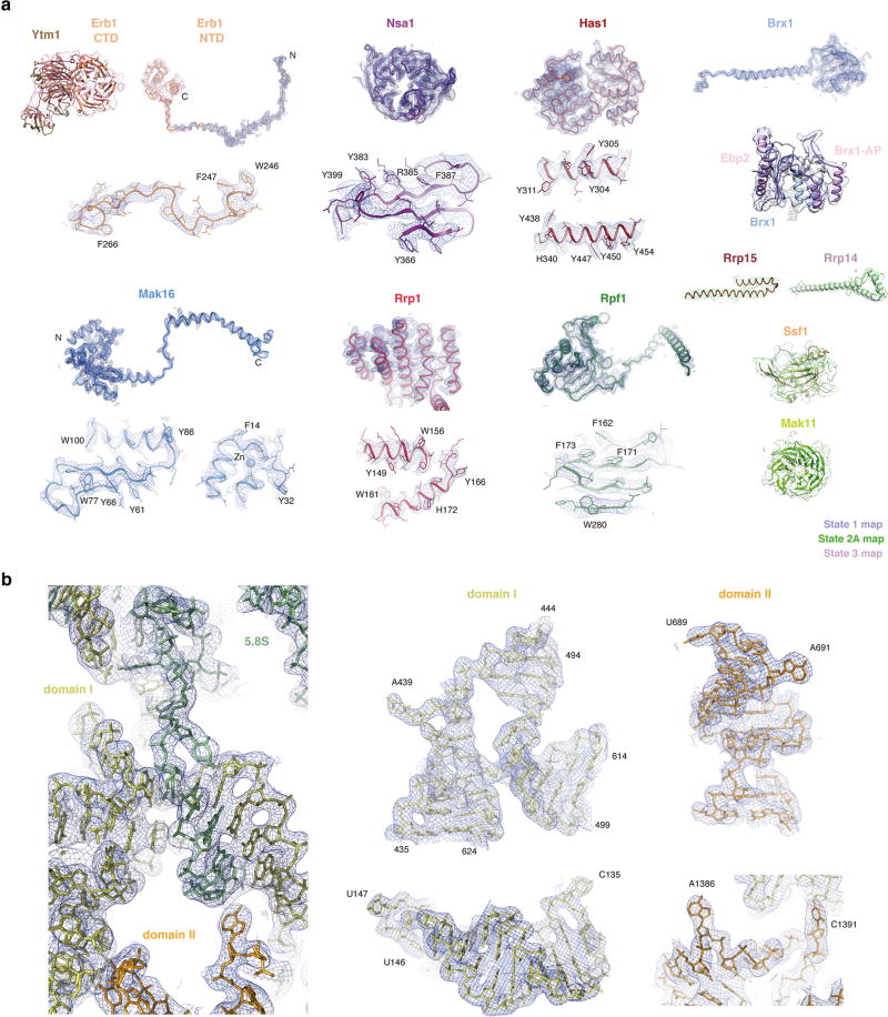 Extended Data Figure 4