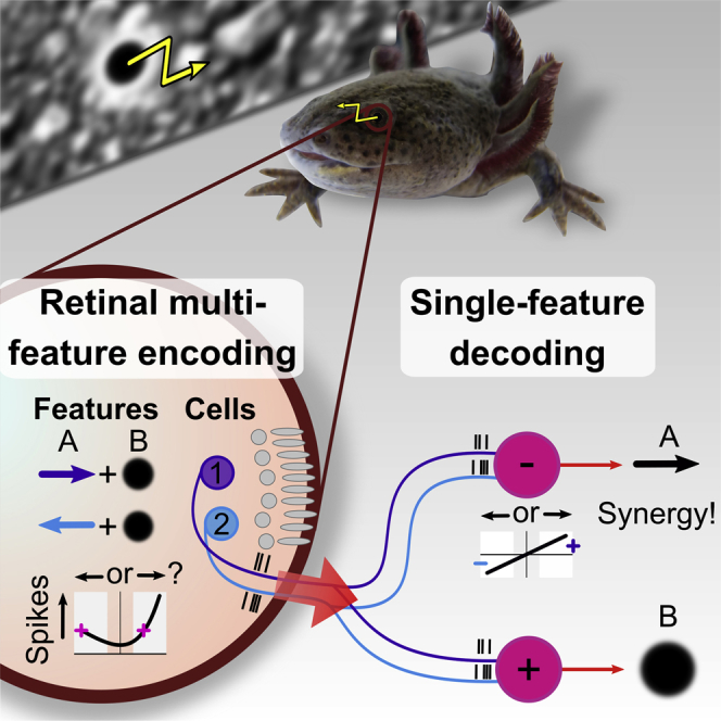 graphic file with name fx1.jpg