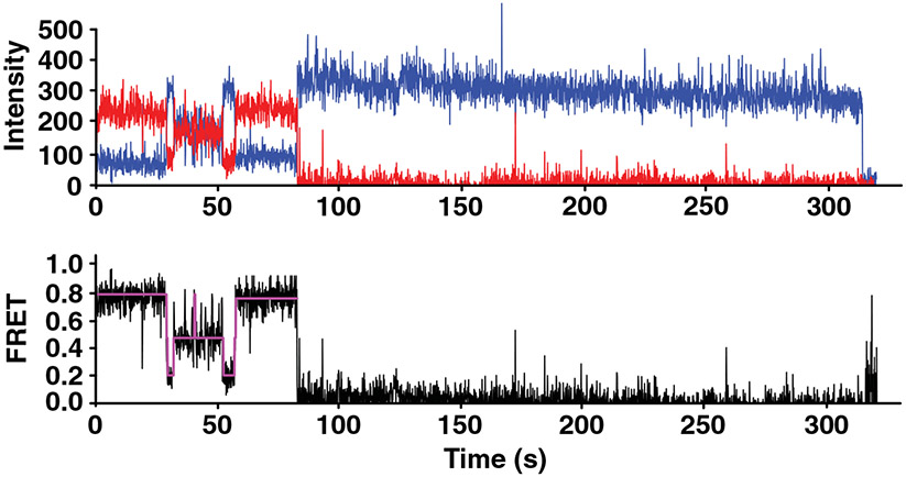 FIGURE 2