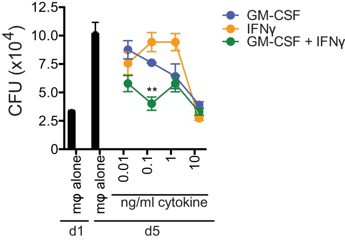 FIG 6 