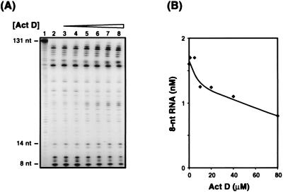 FIG. 5