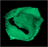 Figure 11.
