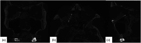 Figure 13.