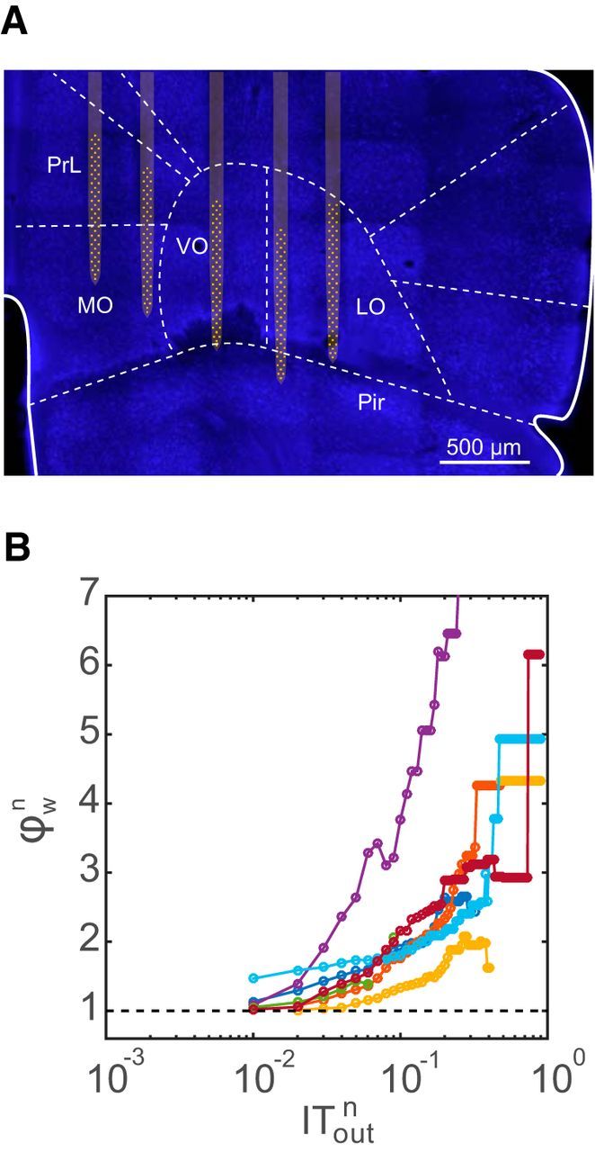 Figure 6.