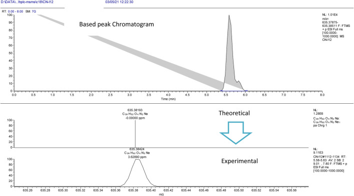 FIGURE 5