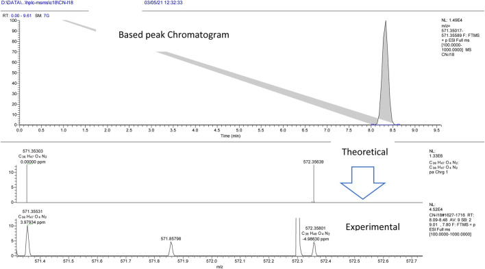 FIGURE 4