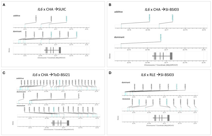 Figure 6