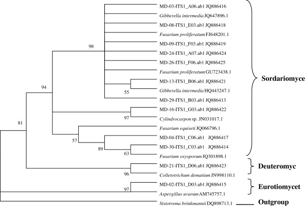 Figure 1