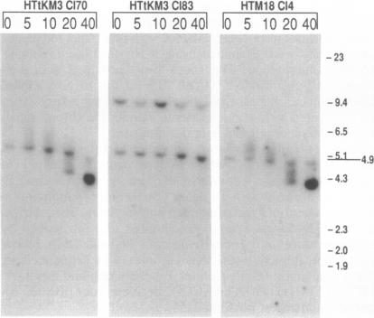 graphic file with name pnas01066-0118-a.jpg