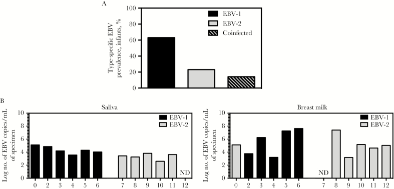 Figure1.