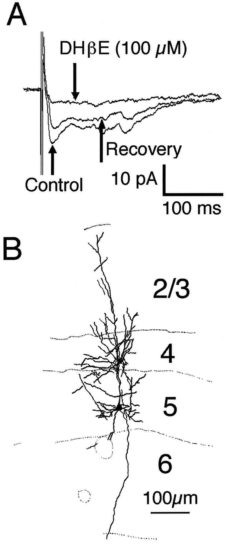 Fig. 6.