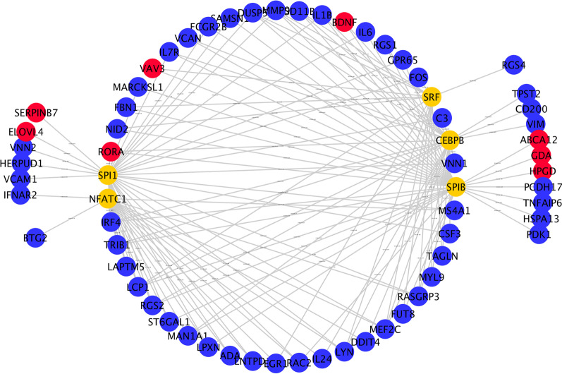 Fig. 7