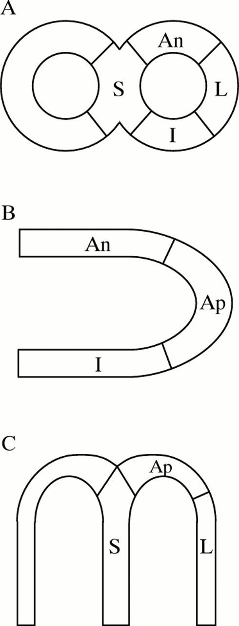 Figure 1  