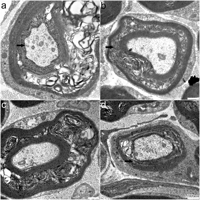 Fig. 8