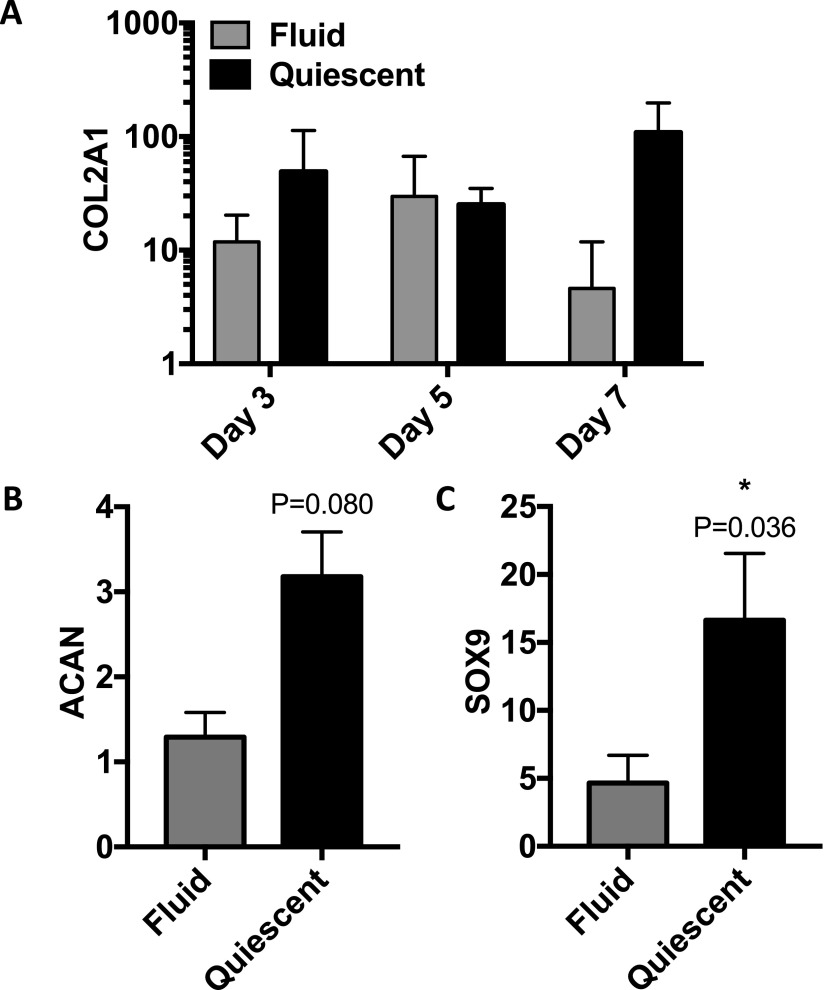 FIG. 8.