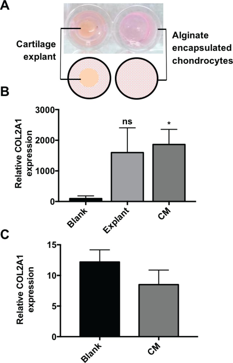 FIG. 9.