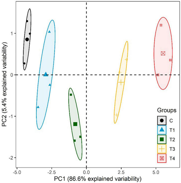 FIGURE 11