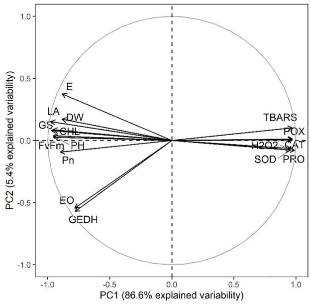 FIGURE 10