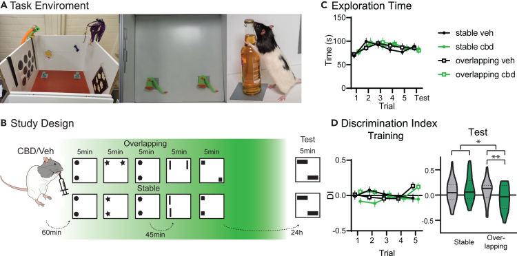 Figure 1