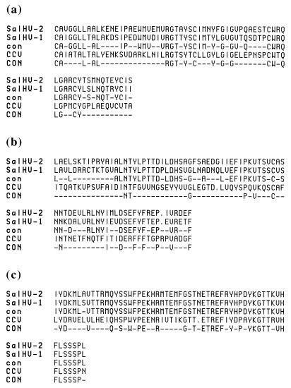 FIG. 7