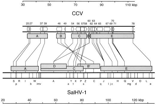 FIG. 6