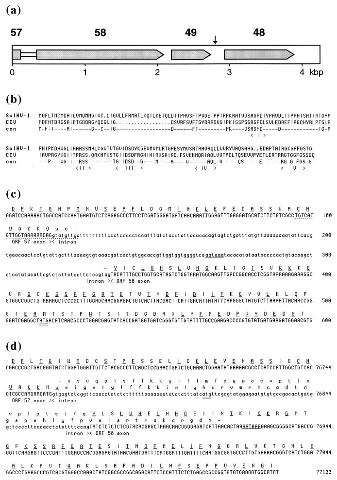 FIG. 8