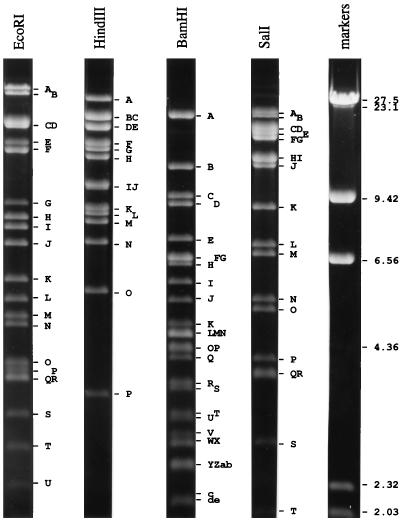 FIG. 1