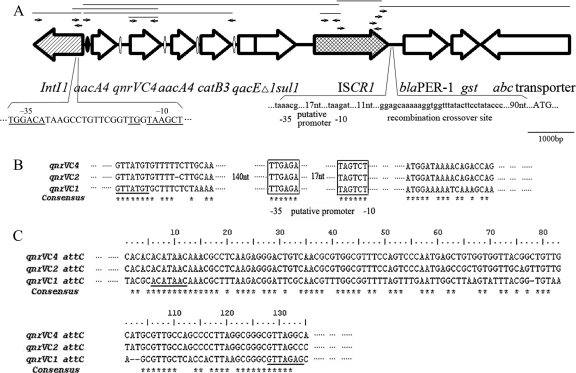 FIG. 1.