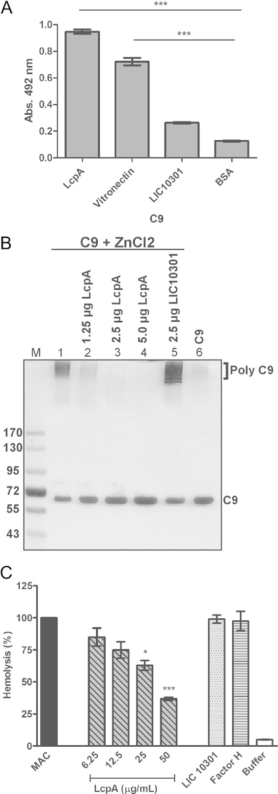 FIG 5