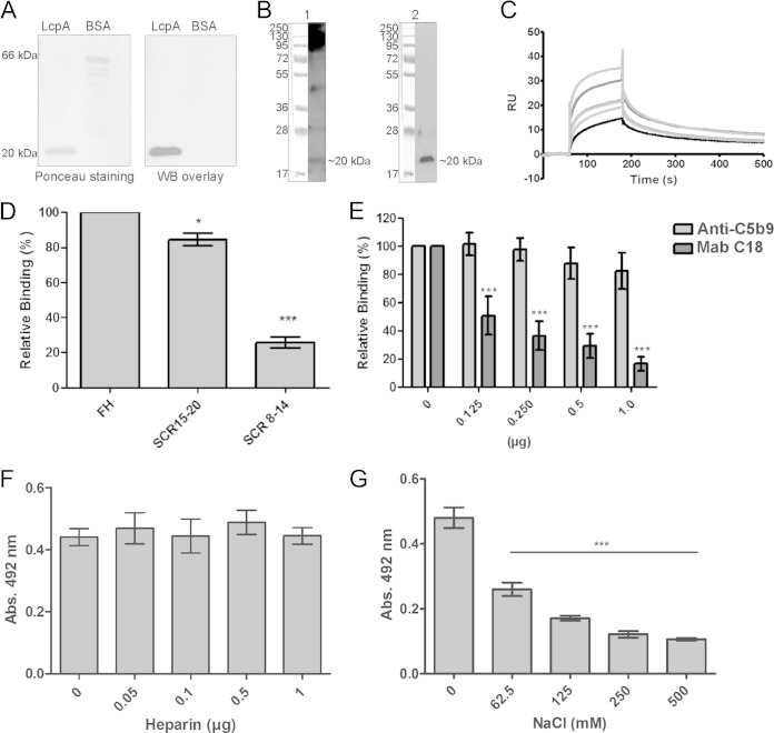 FIG 1