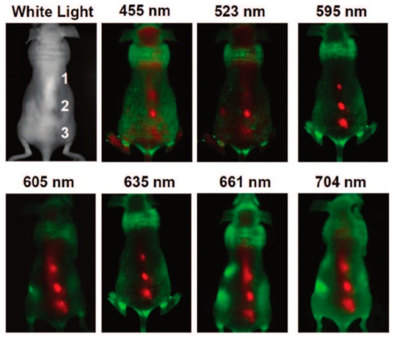 Figure 6