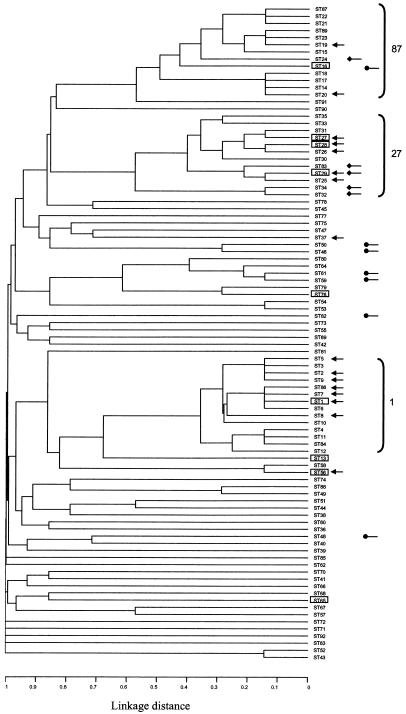 FIG. 2.