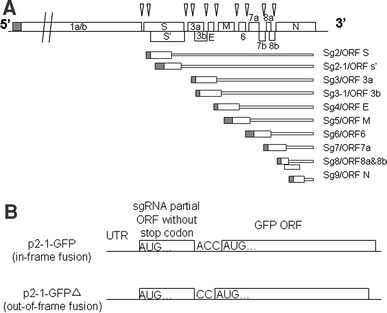 Fig. 1