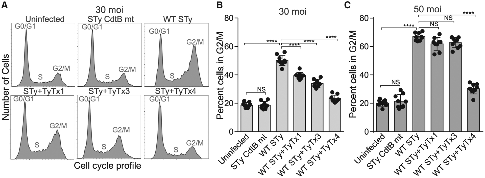 Figure 6.