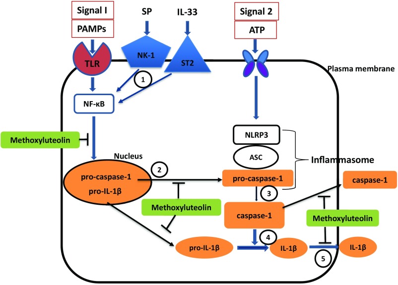 Fig. 11.